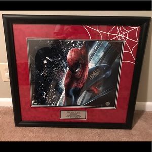 Amazing Spider-Man 16x20 autographed by Stan Lee